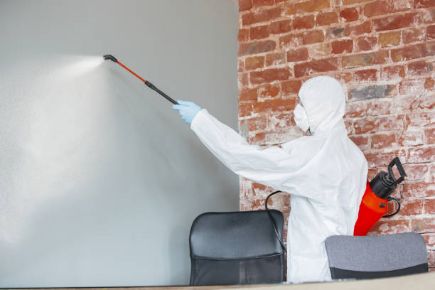 Mold Documentation for Insurance Claims in South San Gabriel, CA